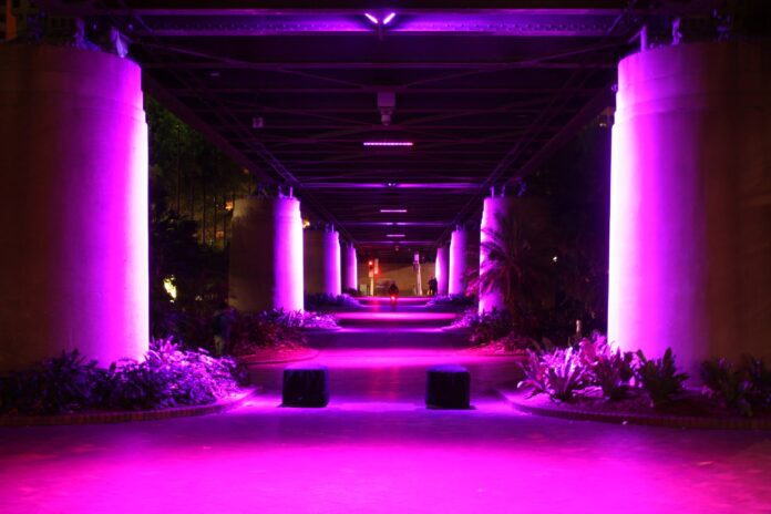 Lighting Designer Sydney